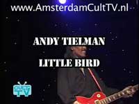 andy-tielman-little-bird